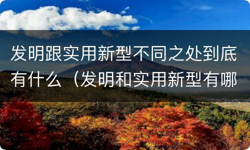 发明跟实用新型不同之处到底有什么（发明和实用新型有哪些区别）