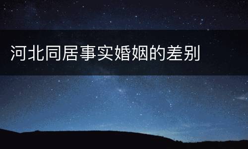 河北同居事实婚姻的差别