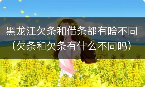 黑龙江欠条和借条都有啥不同（欠条和欠条有什么不同吗）