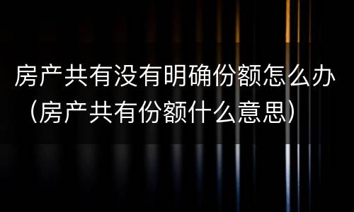 房产共有没有明确份额怎么办（房产共有份额什么意思）