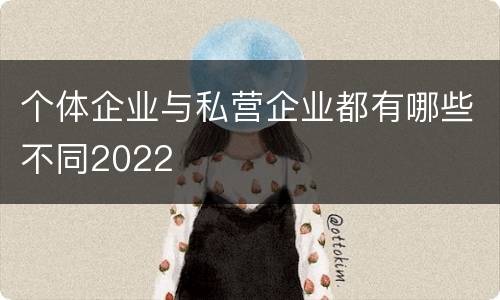 个体企业与私营企业都有哪些不同2022