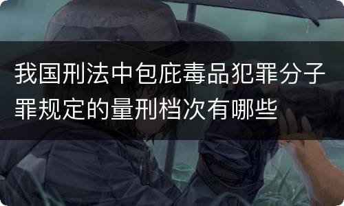 我国刑法中包庇毒品犯罪分子罪规定的量刑档次有哪些