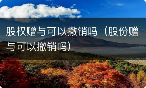 股权赠与可以撤销吗（股份赠与可以撤销吗）