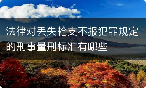 法律对丢失枪支不报犯罪规定的刑事量刑标准有哪些