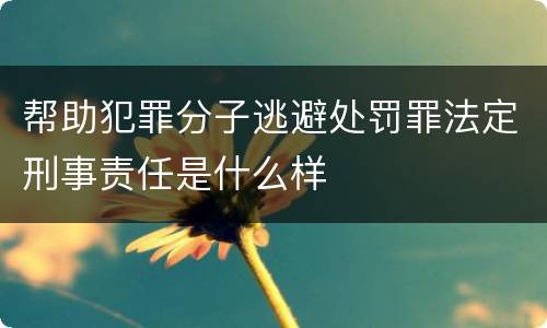 帮助犯罪分子逃避处罚罪法定刑事责任是什么样