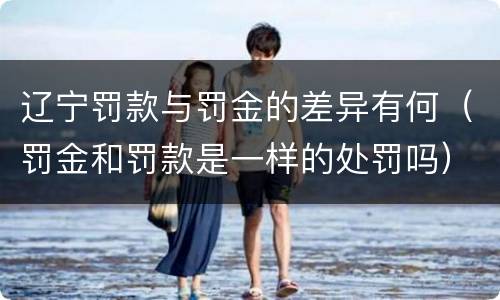 辽宁罚款与罚金的差异有何（罚金和罚款是一样的处罚吗）