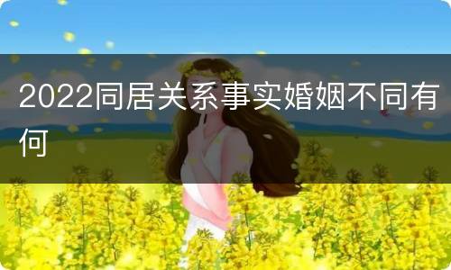 2022同居关系事实婚姻不同有何