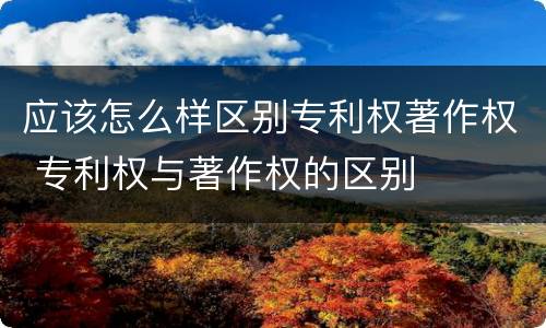 应该怎么样区别专利权著作权 专利权与著作权的区别