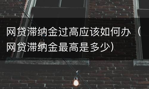 网贷滞纳金过高应该如何办（网贷滞纳金最高是多少）