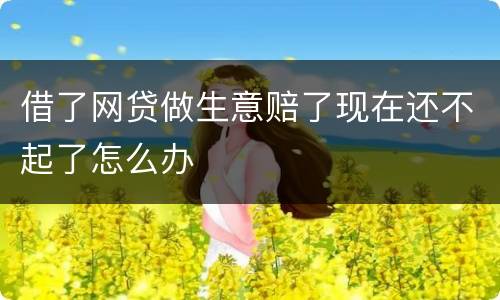 借了网贷做生意赔了现在还不起了怎么办