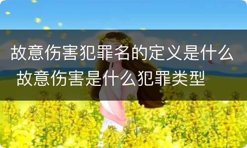 故意伤害犯罪名的定义是什么 故意伤害是什么犯罪类型