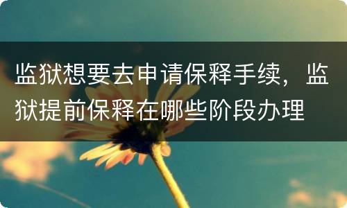 监狱想要去申请保释手续，监狱提前保释在哪些阶段办理