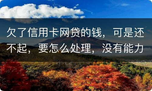 欠了信用卡网贷的钱，可是还不起，要怎么处理，没有能力还款不是不想还，做梦都想还清
