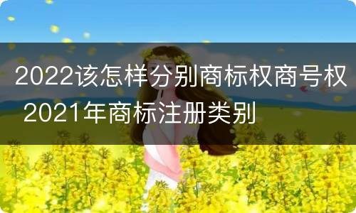 2022该怎样分别商标权商号权 2021年商标注册类别