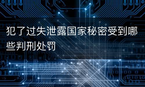 犯了过失泄露国家秘密受到哪些判刑处罚