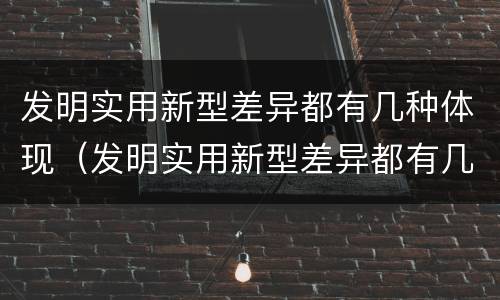 发明实用新型差异都有几种体现（发明实用新型差异都有几种体现方式）