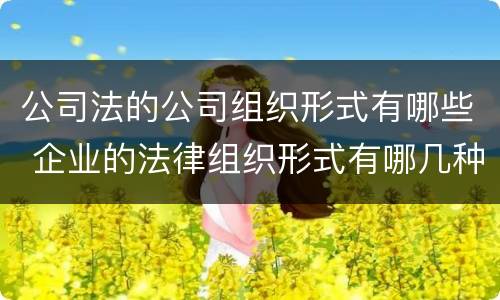 公司法的公司组织形式有哪些 企业的法律组织形式有哪几种
