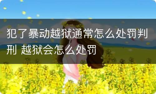 犯了暴动越狱通常怎么处罚判刑 越狱会怎么处罚