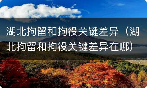 湖北拘留和拘役关键差异（湖北拘留和拘役关键差异在哪）