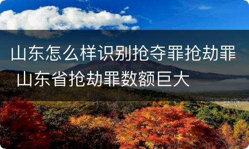 山东怎么样识别抢夺罪抢劫罪 山东省抢劫罪数额巨大