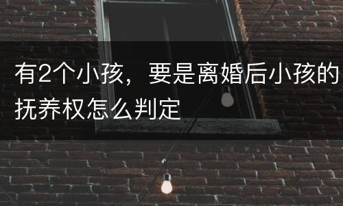有2个小孩，要是离婚后小孩的抚养权怎么判定