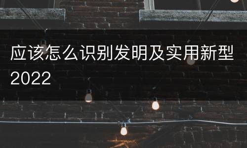 应该怎么识别发明及实用新型2022