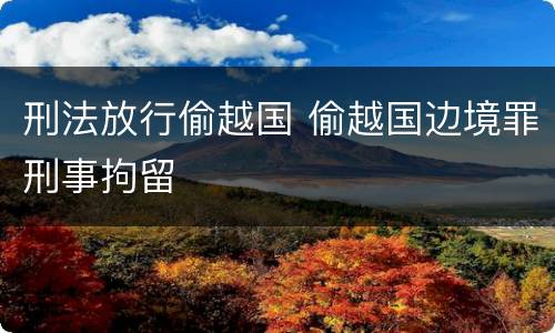 刑法放行偷越国 偷越国边境罪刑事拘留