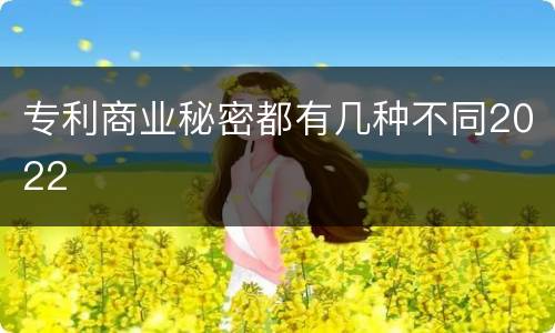 专利商业秘密都有几种不同2022