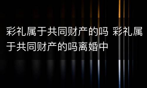 彩礼属于共同财产的吗 彩礼属于共同财产的吗离婚中