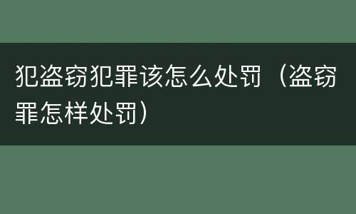 犯盗窃犯罪该怎么处罚（盗窃罪怎样处罚）