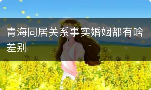 青海同居关系事实婚姻都有啥差别