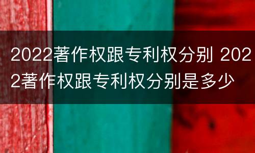 2022著作权跟专利权分别 2022著作权跟专利权分别是多少