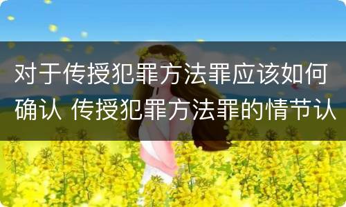 对于传授犯罪方法罪应该如何确认 传授犯罪方法罪的情节认定