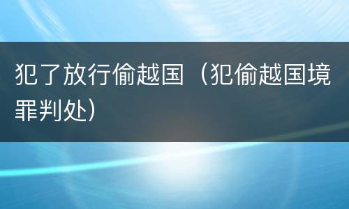 犯了放行偷越国（犯偷越国境罪判处）