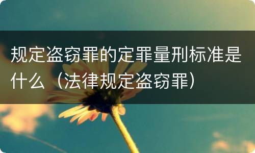规定盗窃罪的定罪量刑标准是什么（法律规定盗窃罪）