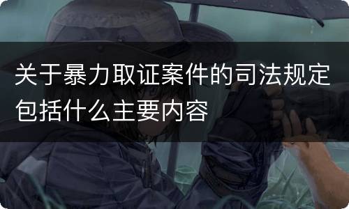 关于暴力取证案件的司法规定包括什么主要内容