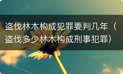 盗伐林木构成犯罪要判几年（盗伐多少林木构成刑事犯罪）