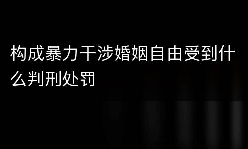 构成暴力干涉婚姻自由受到什么判刑处罚