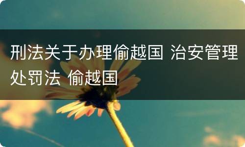 刑法关于办理偷越国 治安管理处罚法 偷越国