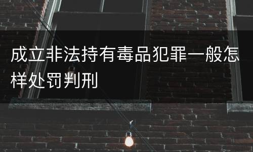 成立非法持有毒品犯罪一般怎样处罚判刑