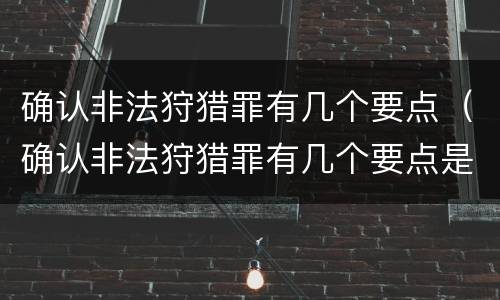 确认非法狩猎罪有几个要点（确认非法狩猎罪有几个要点是什么）