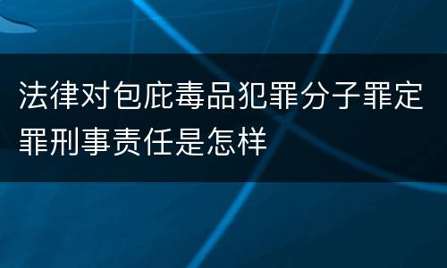 法律对包庇毒品犯罪分子罪定罪刑事责任是怎样