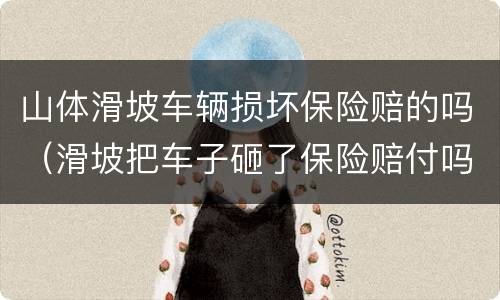 山体滑坡车辆损坏保险赔的吗（滑坡把车子砸了保险赔付吗）