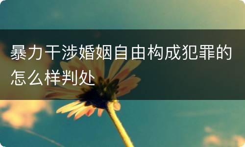 暴力干涉婚姻自由构成犯罪的怎么样判处