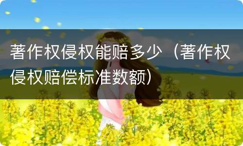 著作权侵权能赔多少（著作权侵权赔偿标准数额）