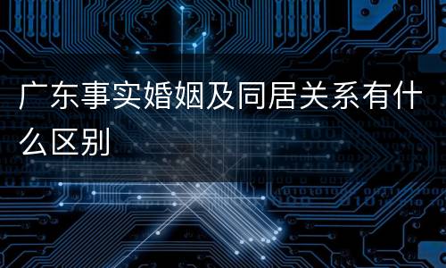广东事实婚姻及同居关系有什么区别