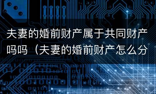 夫妻的婚前财产属于共同财产吗吗（夫妻的婚前财产怎么分割）