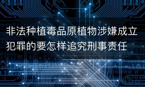 非法种植毒品原植物涉嫌成立犯罪的要怎样追究刑事责任