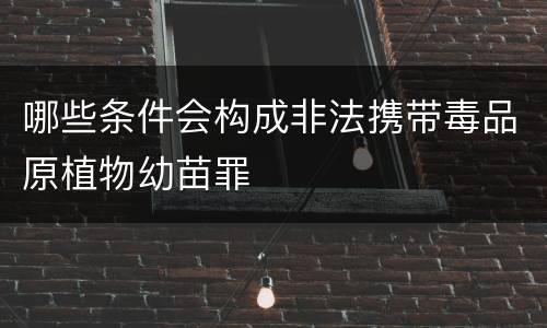 哪些条件会构成非法携带毒品原植物幼苗罪
