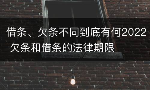 借条、欠条不同到底有何2022 欠条和借条的法律期限